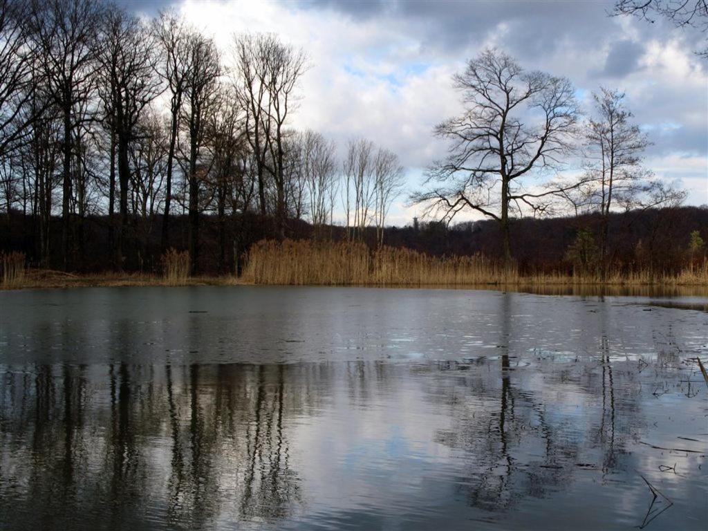 Landpension Wachtkopf Vaihingen an der Enz Exterior foto