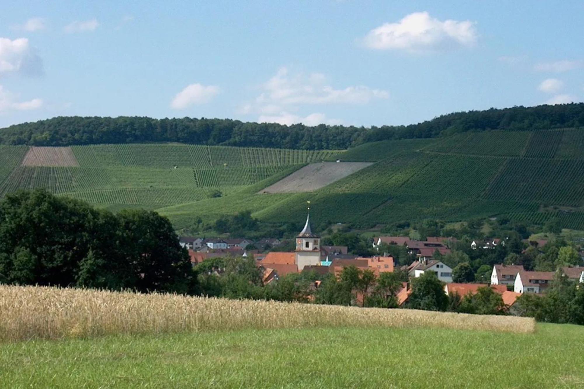 Landpension Wachtkopf Vaihingen an der Enz Exterior foto
