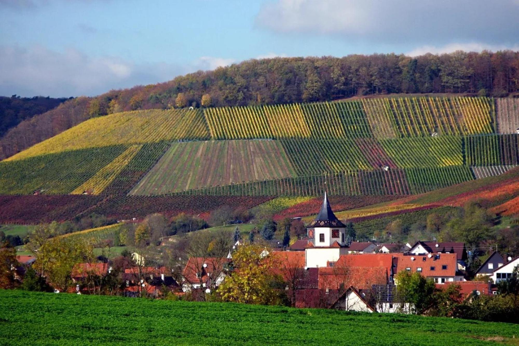 Landpension Wachtkopf Vaihingen an der Enz Exterior foto